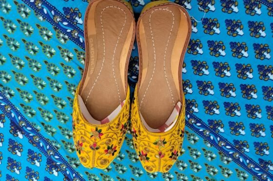 Ethnic Shoes (Mojri)